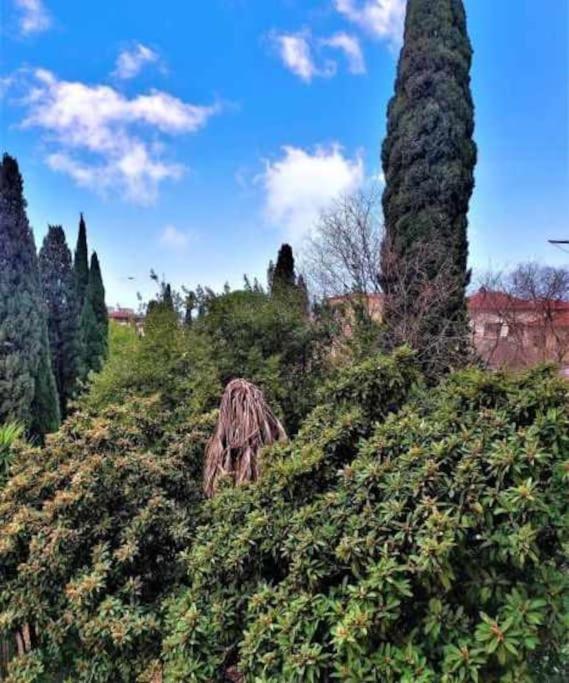 Casa Raffaello Careggi Lägenhet Florens Exteriör bild
